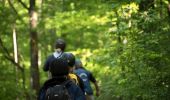 Trail Equestrian Saint-Hubert - Chevauchée de Saint Monon - Photo 1