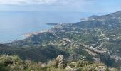 Trail Walking Castellar - Grammondo depuis Castellar - Photo 2