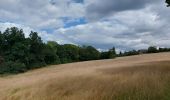 Trail Walking Court-Saint-Étienne - Dans le bois Sainte Catherine... - Photo 11