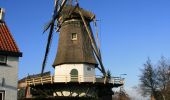 Tour Zu Fuß Hoeksche Waard - Sint Anthoniepolderroute - Photo 7