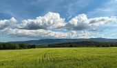 Tocht Stappen Rustrel - visite et tour du Colorado Provençal  - Photo 9