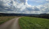 Randonnée Marche Rambrouch - au pays de l ardoise  - Photo 1