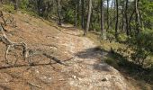 Tocht Stappen Maisse - Maisse - Forêt communale de Milly-la-Forêt - Photo 8