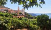 Randonnée Marche Cargèse - Visite découverte de Cargèse - Photo 7