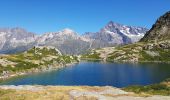 Randonnée Marche La Chapelle-en-Valgaudémar - Les Lacs de Pétarel - Photo 4