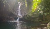 Excursión Senderismo Bouillante - Bois Malaisé  - Photo 1