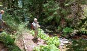 Excursión Senderismo Arphy - les cascades d orgon - Photo 8