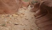 Randonnée Marche Unknown - 2024 Vermillon Cliffs Bucksin Trail - Photo 2