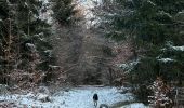 Randonnée Marche Neufchâteau - Hosseuse 4,2 km  - Photo 2