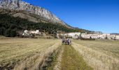 Excursión Senderismo Andon - La Plaine de Caille - Photo 1