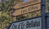 Excursión A pie Lens - Cran - Er de Chermignon (Ancien bisse du Ro) - Photo 9