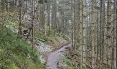 Percorso Marcia Waimes - Extratrail de Malmedy 🥾 - Photo 8