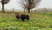 Trail Walking Silly - Gondregnies - bois de la Provision - Fouleng - Photo 1