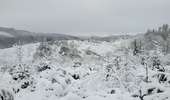 Trail Walking Tenneville - rando wyompont 11-01-2026 - Photo 20