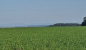 Tocht Stappen Bouxières-aux-Chênes - bouxieres aux chênes - Blanzey - Photo 13