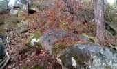 Trail Walking Fontainebleau - Un merle sur son mont - Photo 1