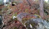 Randonnée Marche Fontainebleau - Un merle sur son mont - Photo 1