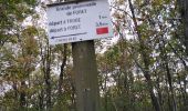 Tour Wandern Trooz - FORÊT VILLAGE  - Photo 12
