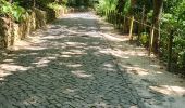 Tour Wandern Sé Nova, Santa Cruz, Almedina e São Bartolomeu - Jardin botanique Coimbra 06/08/2024 - Photo 2