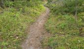 Randonnée Marche Maisse - Maisse - Forêt communale de Milly-la-Forêt - Photo 13