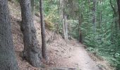 Trail Walking Jalhay - adeps sart 20 km bug - Photo 10