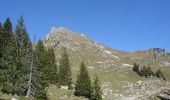 Tocht Trail Mieussy - Les Roches 1500 N°8 - Roche Pallues - Taninges - Praz de Lys - Lac de Roy - Pointe du Perret : 22km - 1400m+ - Photo 1