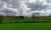 Trail Walking Jalhay - boucle autour des ruisseaux le louba et la gileppe  - Photo 2