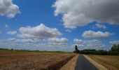 Randonnée Marche Le Louroux - Le Louroux - boucle 1 - 20.9km 100m 4h45 (35mn) - 2019 07 28 - Photo 4