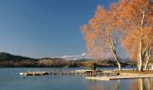 Trail On foot Banyoles - Volta a l'Estany - Photo 3