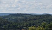 Tour Wandern Theux - 20220901 - Jehanster 5.3 Km - Photo 5