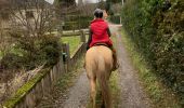 Trail Horseback riding Baccarat - Chez Alex mercredi 21 février 24 Mirador  - Photo 3