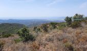 Tocht Noords wandelen Fréjus - mont de l'Aigre  - Photo 1