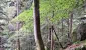 Tour Wandern Mittlach - VOSGES 2023 - MITTLACH - Vallée de la Wormsa - Photo 7