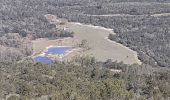 Randonnée Marche Le Revest-les-Eaux - Mont  Caume - Photo 3