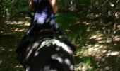 Trail Horseback riding Buriville - randonnée Marion 2 buriville étang de mondon  - Photo 9