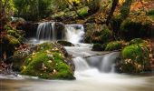 Tour Zu Fuß Canencia - Senda del Arroyo del Sestil del Maíllo y de la Ladera de Mojonavalle - Photo 3