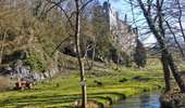 Trail On foot Onhaye - Les Spinoy - Fonds de Foy - Photo 7