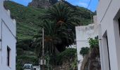 Tour Wandern Santa Cruz de Tenerife - 20230125 Tachero-Taganana-Casa Forestal  - Photo 13