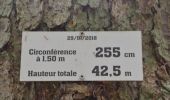Tocht Stappen Stavelot - 20220711 - Francorchamps 7.1 Km - Photo 10