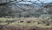 Trail On foot Limbourg - 20220117 Bio La Louveterie - Photo 4