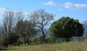 Tocht Stappen La Valette-du-Var - SityTrail - Boucle: Ripelle - Source Ripelle - Tourris - Grottes de sables - Carrière aux fourmis - Ruines des olivières - Touravelle - Ripelle - Photo 12