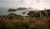 Excursión A pie Te Hiku Community - Twilight-Te Werahi Loop - Photo 1