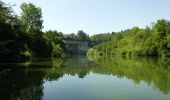 Trail Canoe - kayak Fribourg - Freiburg - padel - Photo 3