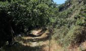 Trail Walking Vallica - Vallica col de Battaglia pioggiola omni-cappela - Photo 6