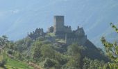 Percorso A piedi Antey-Saint-André - Sentiero Ru Marseiller - Photo 6