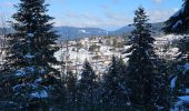 Trail Walking Gérardmer - Mauselaine - Tête de Grouvelin  [Escargot blanc] - Photo 4