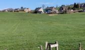 Tour Wandern Bleiberg - A la découverte de Hombourg et ses environs  - Photo 1