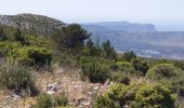 Percorso Mountainbike Allauch - les antennes du garlaban - Photo 5