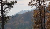 Excursión Senderismo Eguisheim - Randonnée 5 châteaux - Eguisheim - château d'Hagueneck - château de Hohlandsbourg - trois châteaux d'Husseren - Photo 20