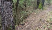 Trail Walking Flayosc - reconnaissance berne circuit jaune  - Photo 11